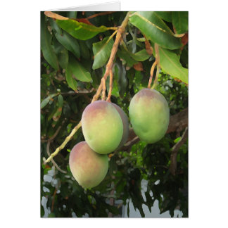 Ripening Cards