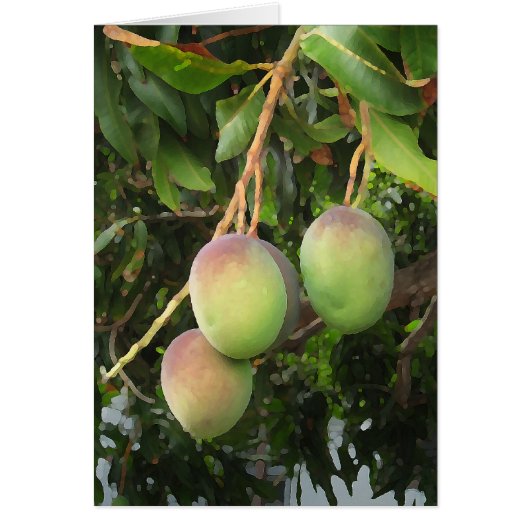 Ripening Cards (Front)