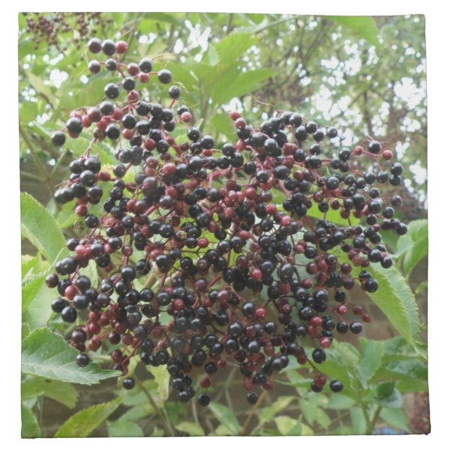 Ripening Elderberries Napkin (Front)