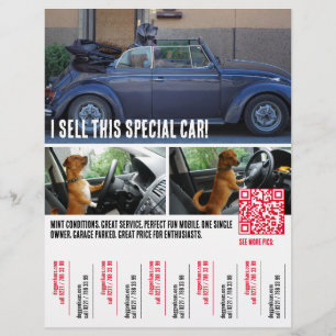 Ripp of Tears Car Selling  Flyer
