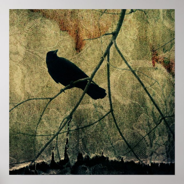 Ripped Poster (Front)