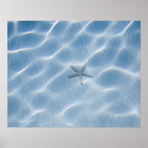 Rippled blue water with starfish poster