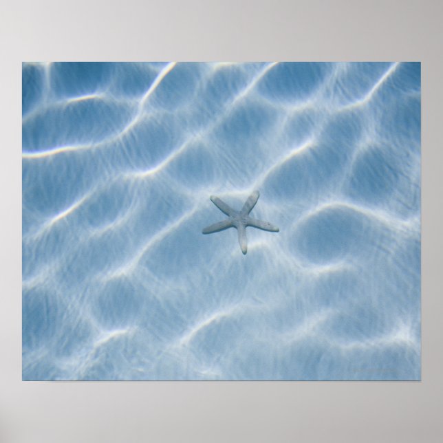 Rippled blue water with starfish poster (Front)
