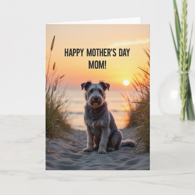 Rippled Sand Sunset Dog Card (Front)
