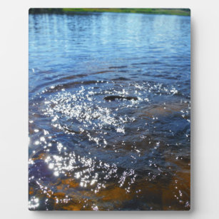Ripples in a lake, from a fish jumping plaque