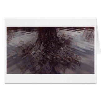 Ripples intersecting in a pond cards