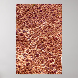 Ripples on Sand Bar Poster