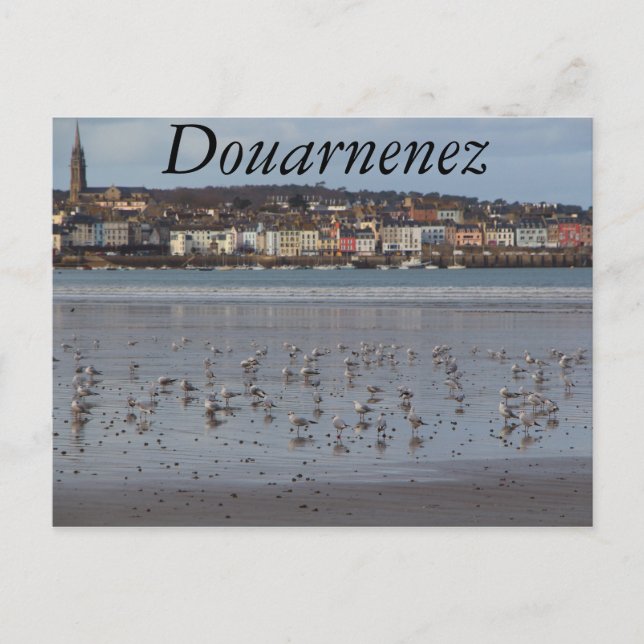 Ris beach in Douarnenez Postcard (Front)