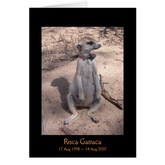 Risca Legends Card (Front)