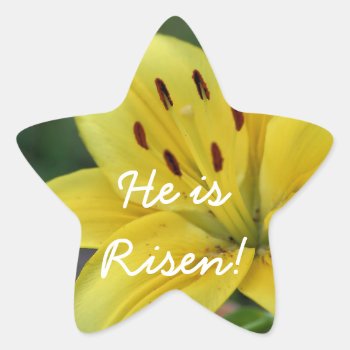Risen Lily Star Sticker by sharpcreations at Zazzle