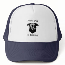 Rising Alpha-Dog in Training Hat
