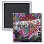 Rising Dawn Butterfly! Magnet at Zazzle