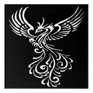 Rising From The Ashes Phoenix White Illustration Acrylic Print