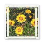 Rising Sun Coreopsis Square Magnet