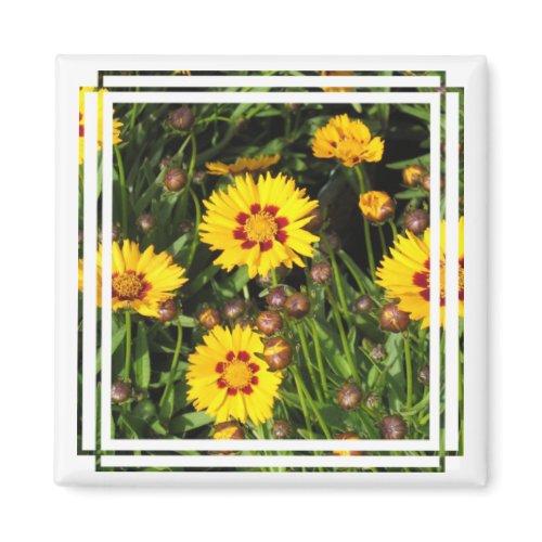 Rising Sun Coreopsis Square Magnet