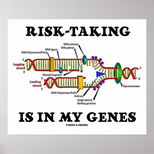 Risk_Taking Is In My Genes DNA Replication Humor Poster