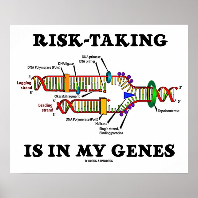 Risk-Taking Is In My Genes DNA Replication Humor Poster (Front)