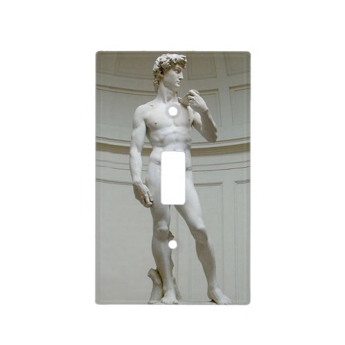 Risque Michelangelos David Light Switch Cover