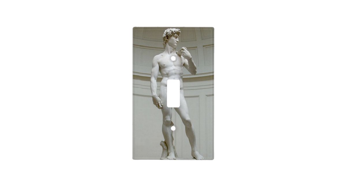 Risque Michelangelo's David Light Switch Cover Zazzle