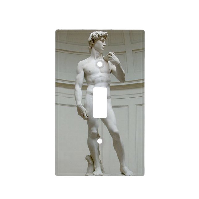 Risque Michelangelo's David Light Switch Cover (Front)
