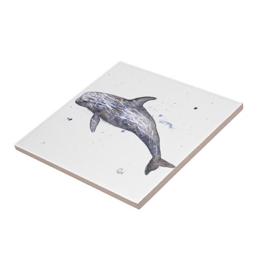 Risso Dolphin Illustration Tile | Zazzle