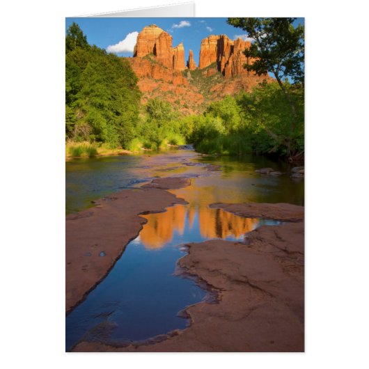 River at Red Rock Crossing, Arizona Cards (Front)