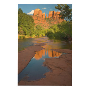 River at Red Rock Crossing, Arizona Wood Wall Art