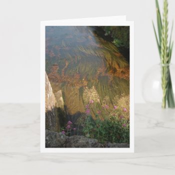 River Bed Card by OurJewishCommunity at Zazzle