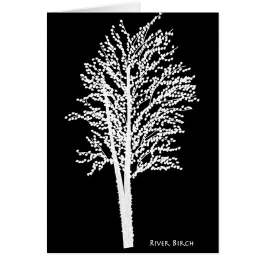 River Birch Tree in Abstract Cards (Front)