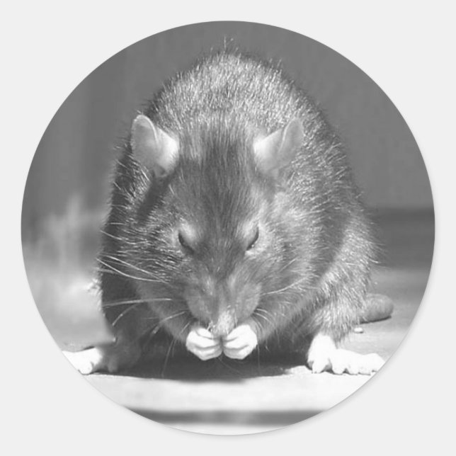 river classic round sticker (Front)