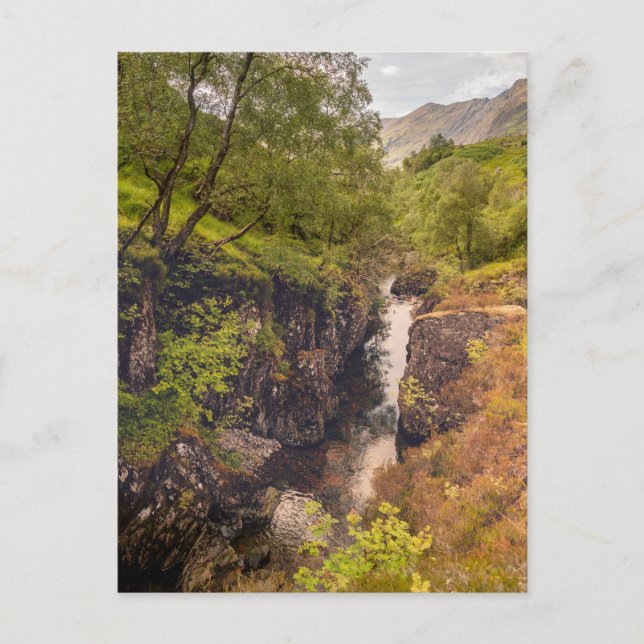 River Coe Canyons Postcard (Front)