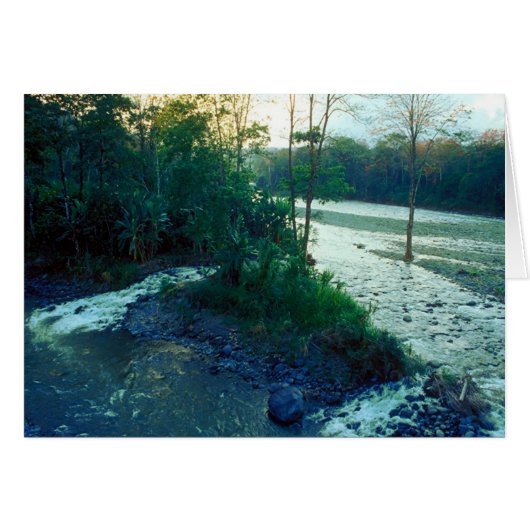 River/ Costa Rica Cards (Front Horizontal)