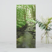 River flowing through woodland. (Standing Front)