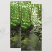 River flowing through woodland. (Front/Back)