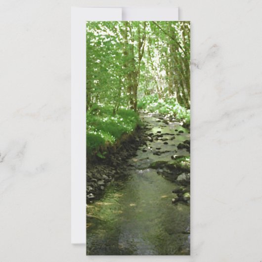 River flowing through woodland. (Front)
