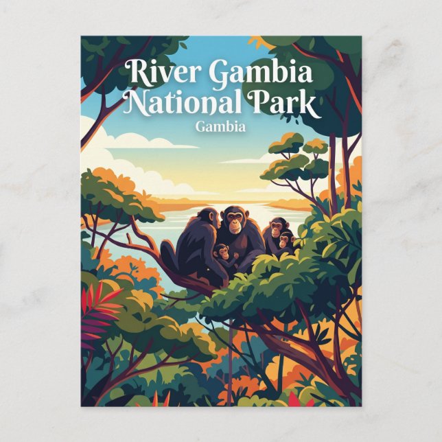 River Gambia National Park (Chimps) Gambia Postcard (Front)