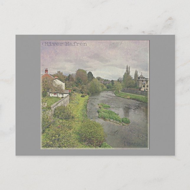 River Hafren in Newtown, Powys Postcard (Front)