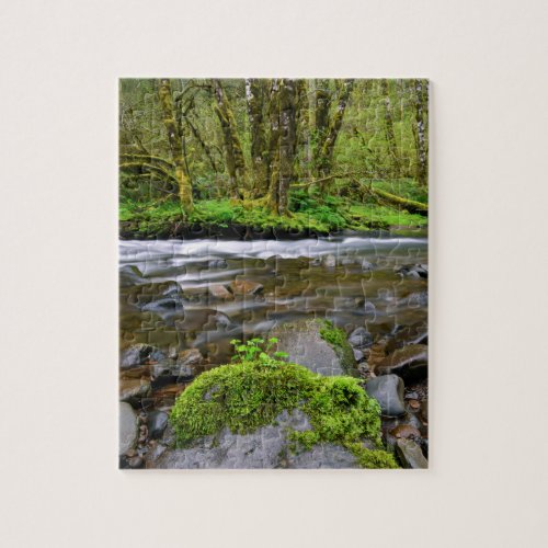 River in green forest Oregon Jigsaw Puzzle