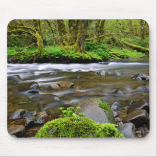 River in green forest, Oregon Mouse Pad