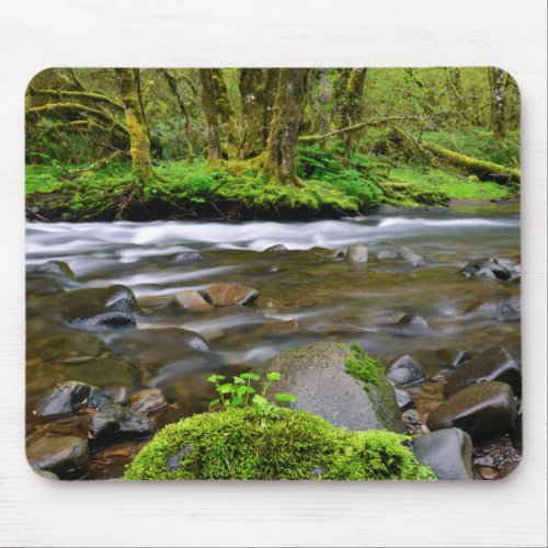 River in green forest Oregon Mouse Pad