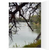 River_Murray,_Australia,_ (Inside (Left))