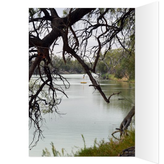 River_Murray,_Australia,_ (Inside (Left))