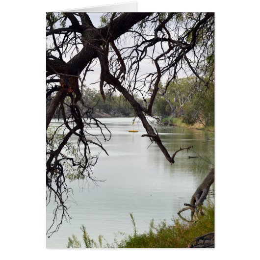 River_Murray,_Australia,_ (Front)