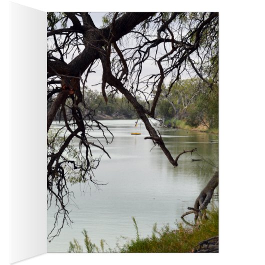 River_Murray,_Australia,_ (Inside (Right))