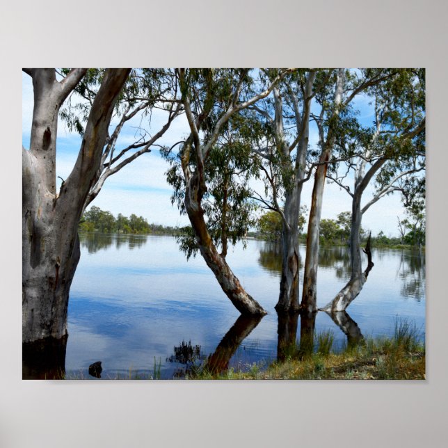 River Murray Australia, Just Beautiful, Poster (Front)