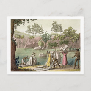 River near San Benedetto, Madagascar, plate 81 fro Postcard