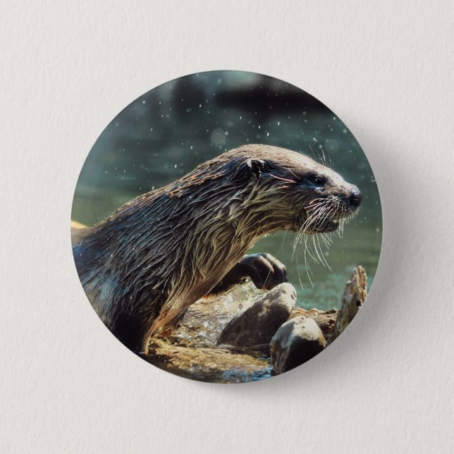 River Otter Animal-lover's Wildlife Photo Button (Front)