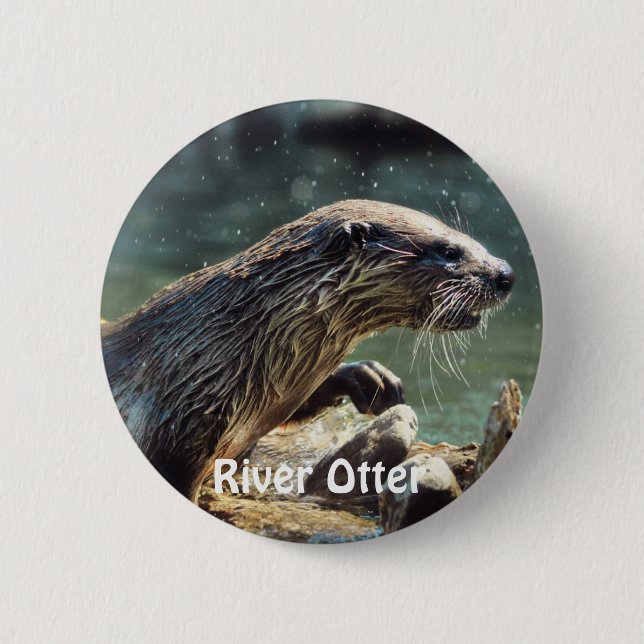 River Otter Animal-lover's Wildlife Photo Button (Front)