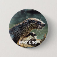River Otter Animal-lover's Wildlife Photo
