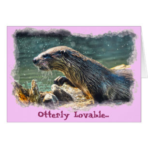 River Otter Animal-lover's Wildlife Photo Cards